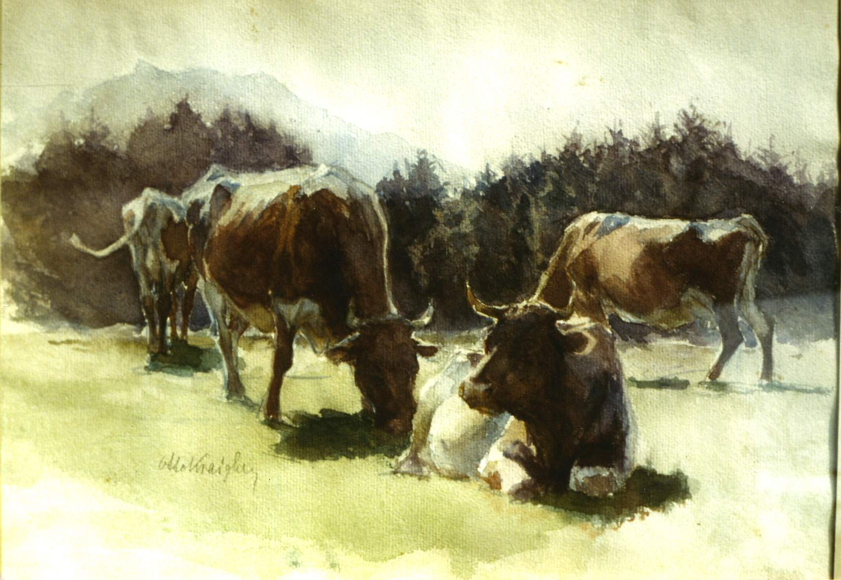 Weidende Kühe